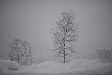 inverno neve nevicata paesaggio invernale inverno neve montagne innevate