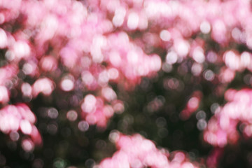 background bokeh and light