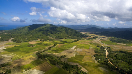 Fototapeta na wymiar rice field in the Philippines with a bird's-eye view