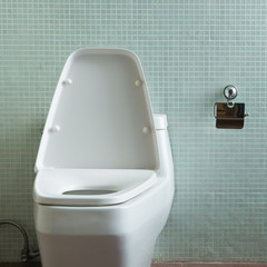 toilet interior modern home