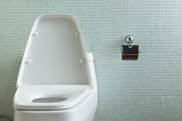 toilet interior modern home