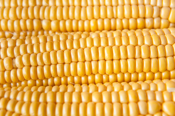 Corn background, macro