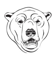 head of a polar bear
