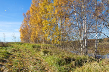 Fototapeta premium Autumn landscape with river on a Sunny day