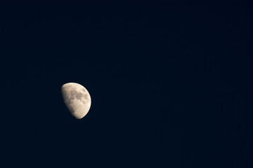 月齢 8.7 小潮頃の月