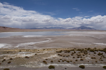 Lago salado en el desierto de Atacama. Salar de Tara en la Cordillera de los Andes, Chile