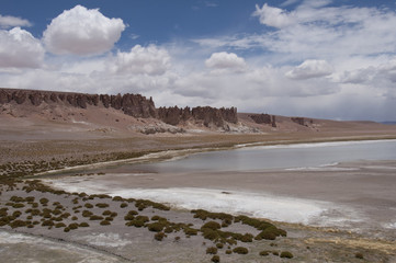 Lago salado en el desierto de Atacama. Salar de Tara en la Cordillera de los Andes, Chile