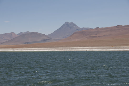 Lago salado en el desierto de Atacama. Salar de Tara en la Cordillera de los Andes, Chile © DiegoCalvi