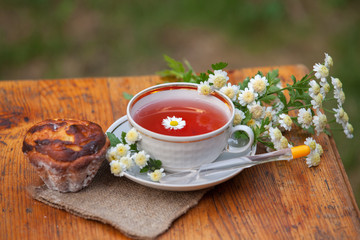Cup of tea with chamomile flowers on rustic wooden background
