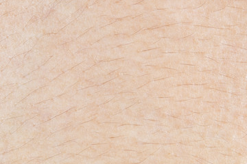 Skin texture with hair for pattern