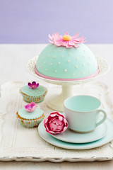 Round cake and cupcakes decorated with pink sugar flowers and a sugar butterfly