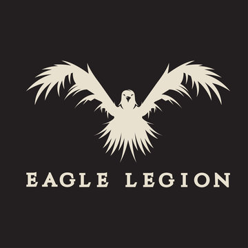 negative space vector concept of warrior heads in eagle