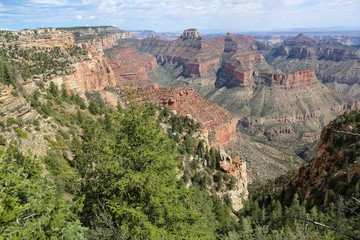 amazing grand canyon national park north section