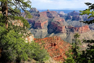 amazing grand canyon national park north section