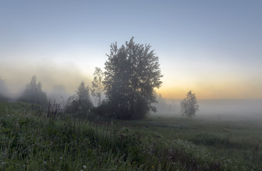Fototapeta na wymiar Misty summer landscape