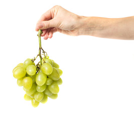 Fresh green grapes