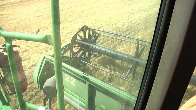 Combine harvesting grain