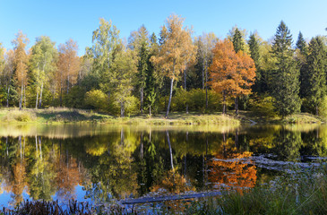 Autumn landscape