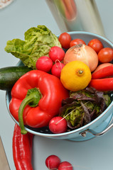 Ingredients of salad