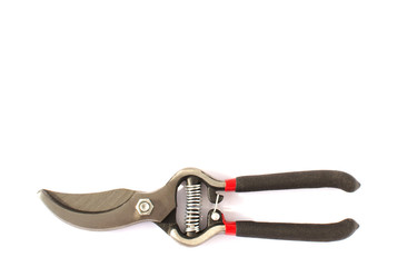 Gardening  Secateurs