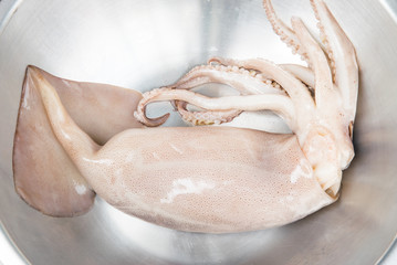 fresh squid ready to cook
