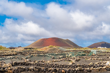 Lanzarote one of seven great Canary Island in Atlantic Ocean. Extraordinary volcano landscape with...