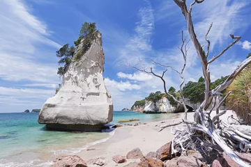 Fotobehang Cathedral Cove Cathedral Cove-strand op het schiereiland Coromandel