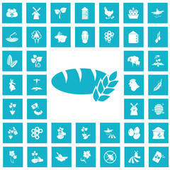 Set of forty agriculture icons