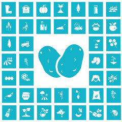 Set of forty agriculture icon