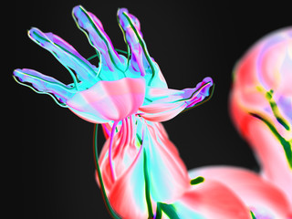 Obraz na płótnie Canvas Human anatomy 3D futuristic technology scan. Hand and arm. Vibrant colors. Biological information.Sci-fi.