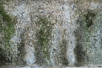 brick texture with green Moss