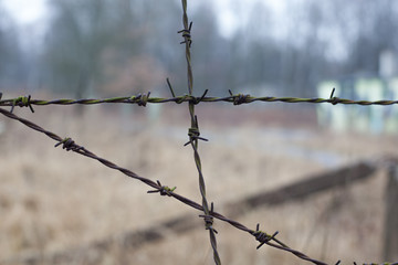 barbed wire
