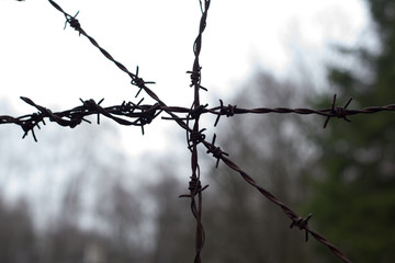 Fototapeta na wymiar barbed wire 