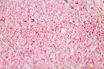 Fototapeta premium Barbuda pink sand beach