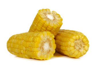 corn on white background
