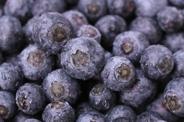 Fresh ripe blueberries