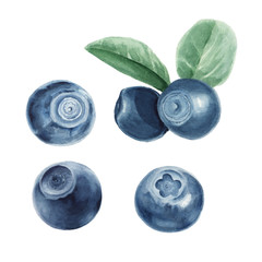 Watercolor blueberry set
