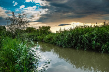 Padule di Fucecchio, Natural Park, Tuscany
