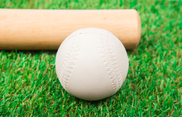 Baseball bat on the grass