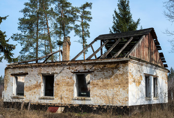 Old destroyed building in the forest