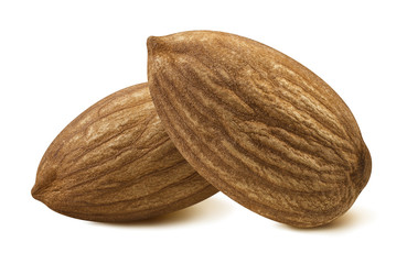 Double almond nut isolated on white background as package design element