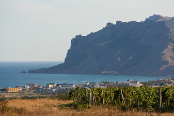 Vineyards on the background of mountains and villages