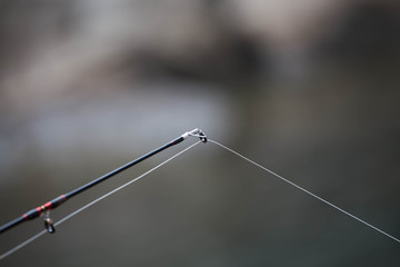 Fishing Pole