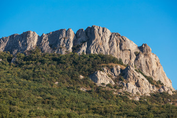 View of the massive sandy cliff with bushes