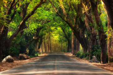 Fairytale road, Travel and nature concept.