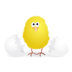 Cute little yellow chick just hatched from the egg. Vector illustration.