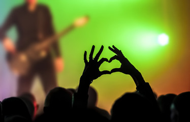 cheering crowd at a rock concert