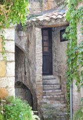 Front door to an old stone house in medieval historic town Vence in French Riviera, with a staircase, entrance to a cellar, green grape vine growing on the wall