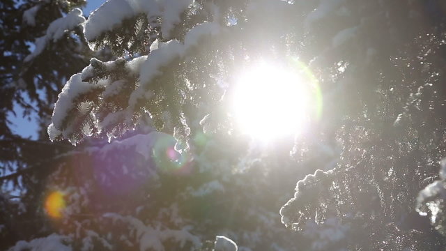 beautifull amaizing fairy spring sun shining landscape with positive melting drops of snow after winter slowmotion
