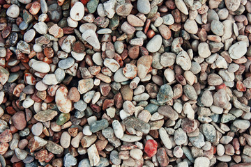 Background of pebbles. Texture building shingle.